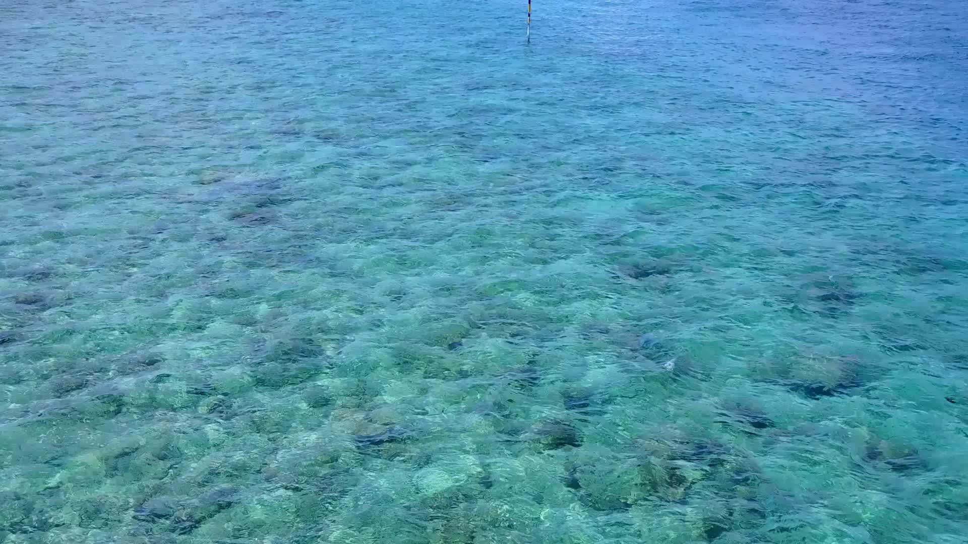 浅海和白沙在阳光下的背景是完美的海岸海滩度假的夏季风景视频的预览图