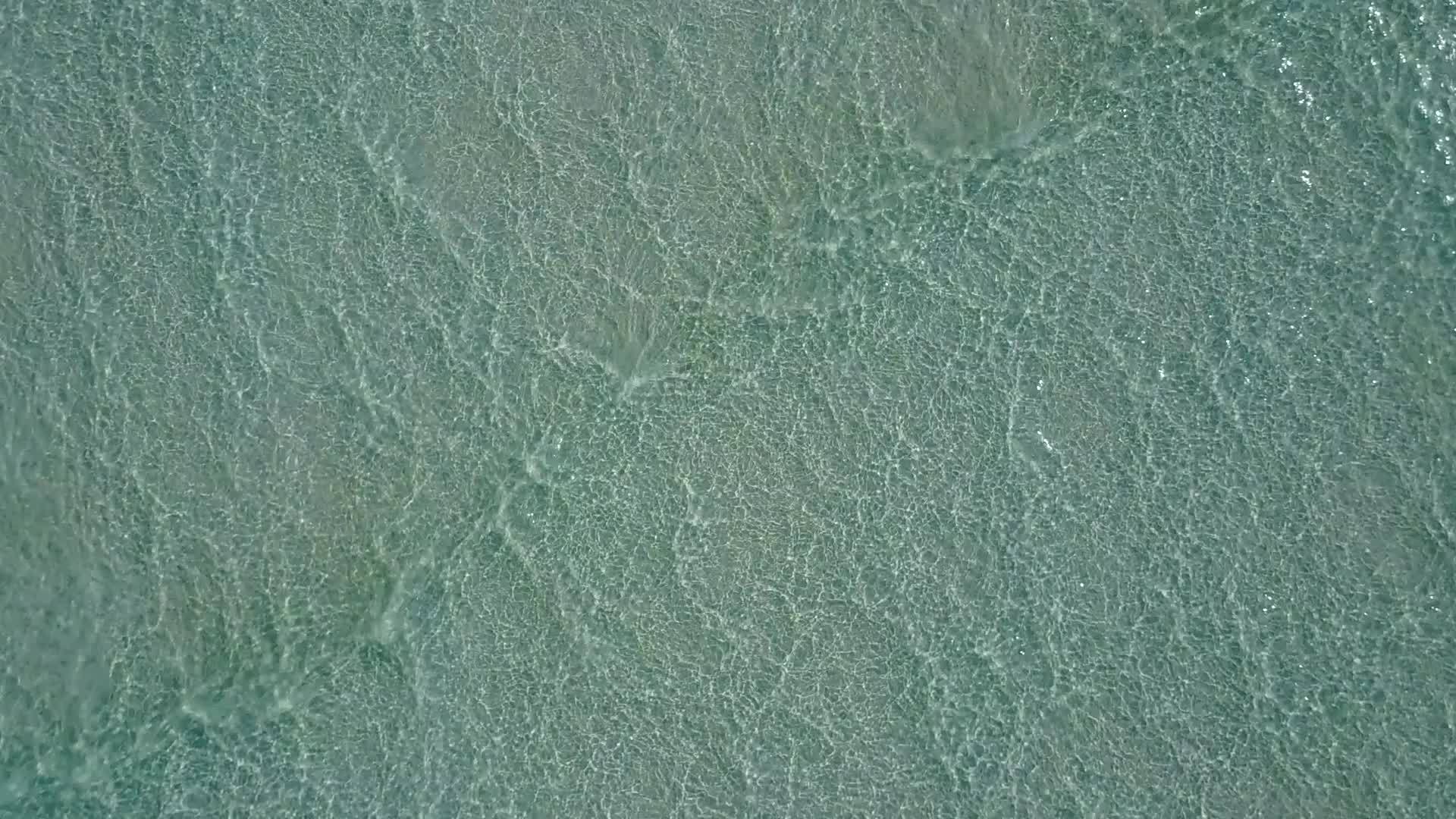 浅海和白色沙滩假日靠近棕榈视频的预览图