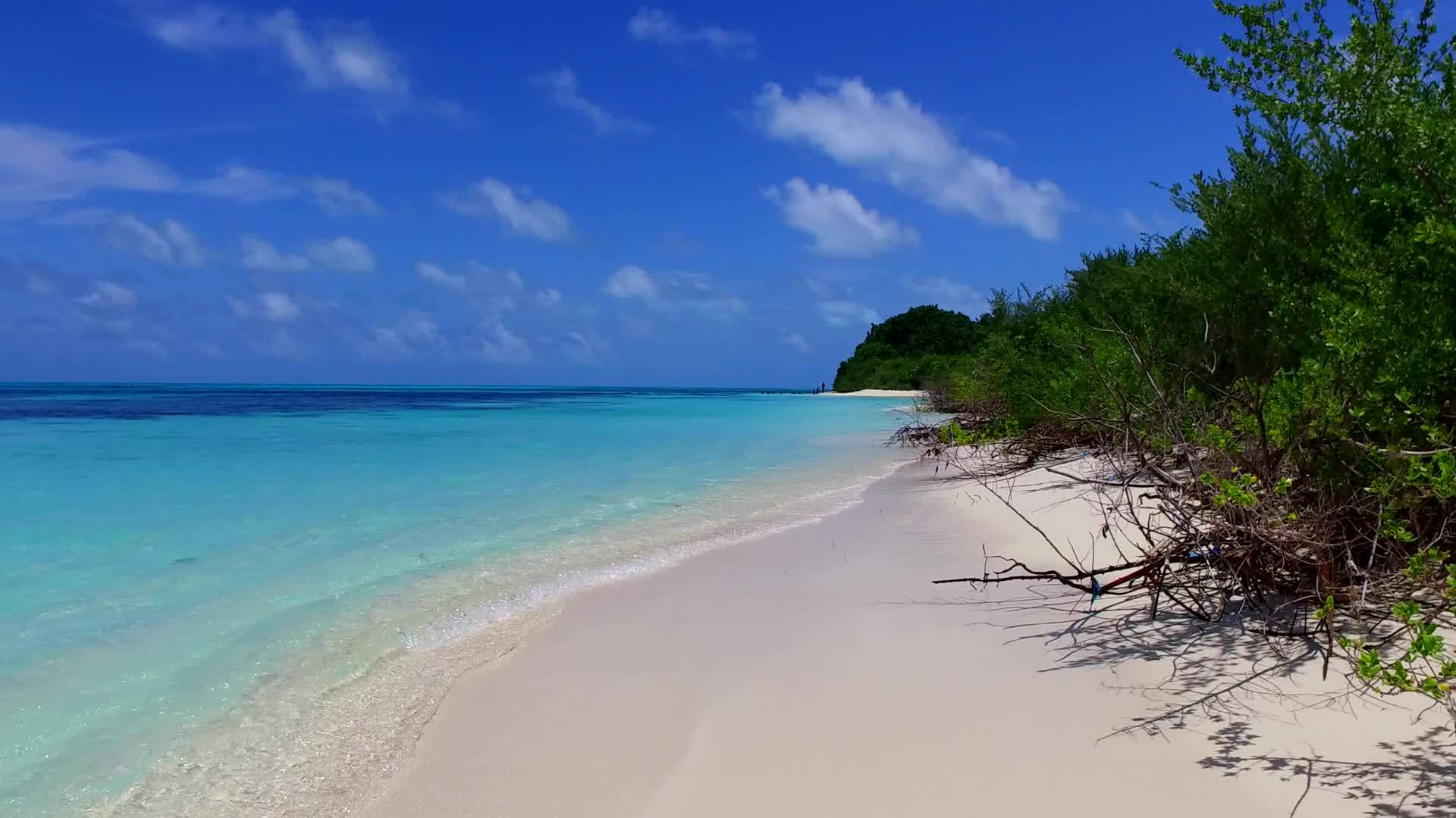 宁静岛由屿由棕榈树附近的浅水和白浅水组成视频的预览图