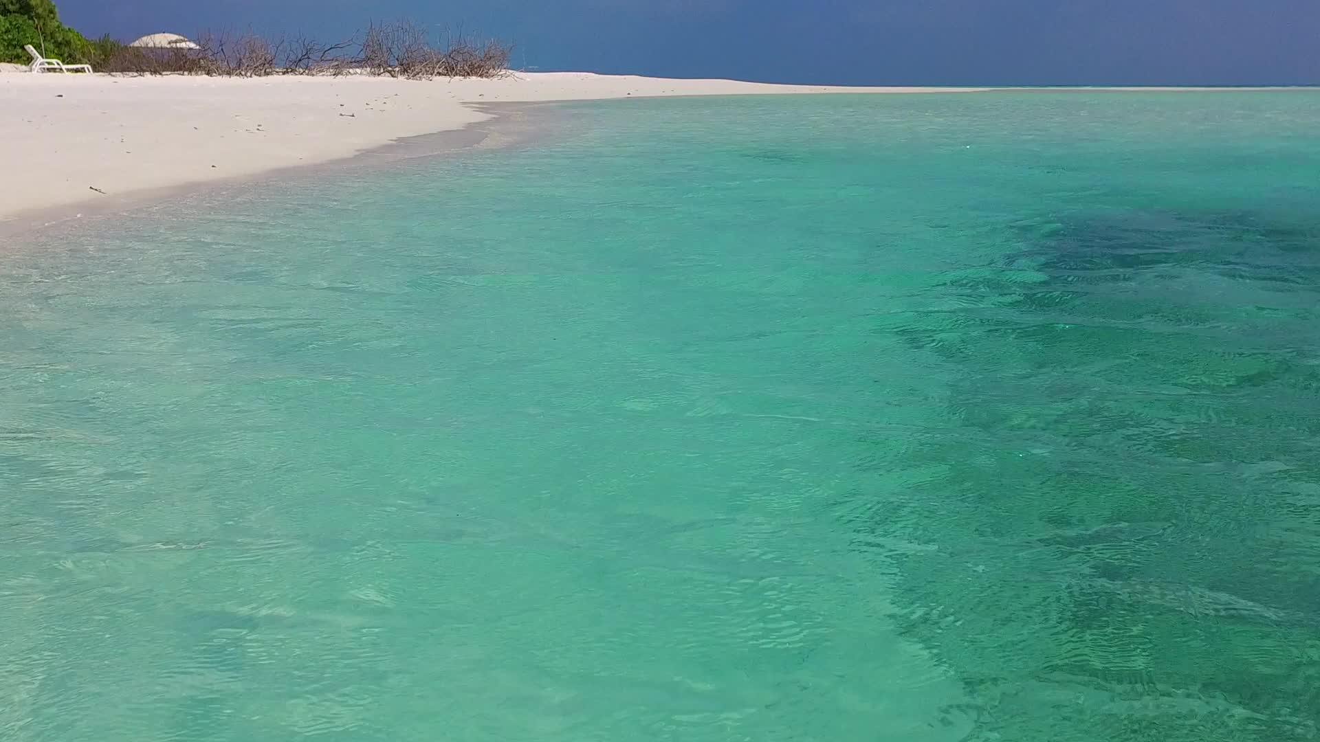 清澈的海水和异国情调的海滩野生动物靠近波浪的白沙背景视频的预览图