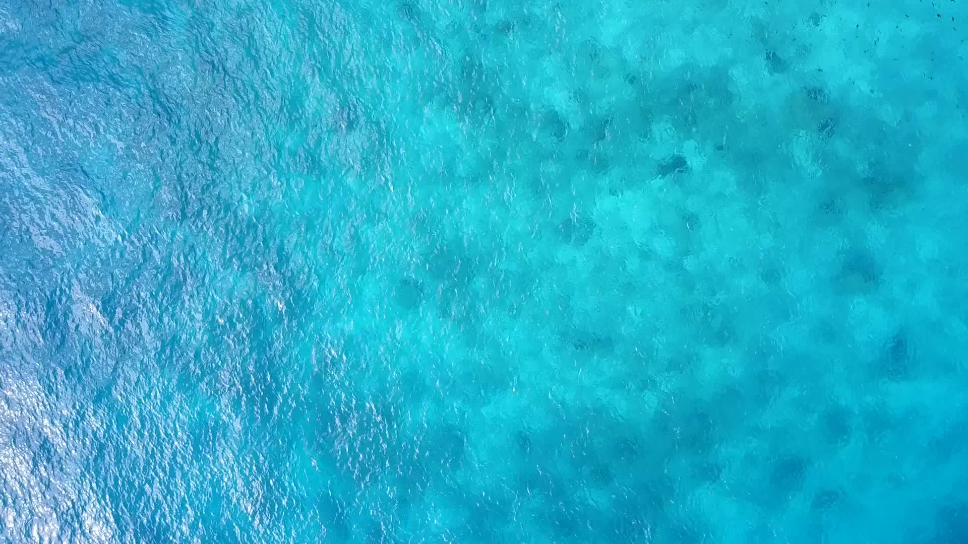 白沙背景在棕榈树附近的蓝的蓝色海洋中游泳视频的预览图