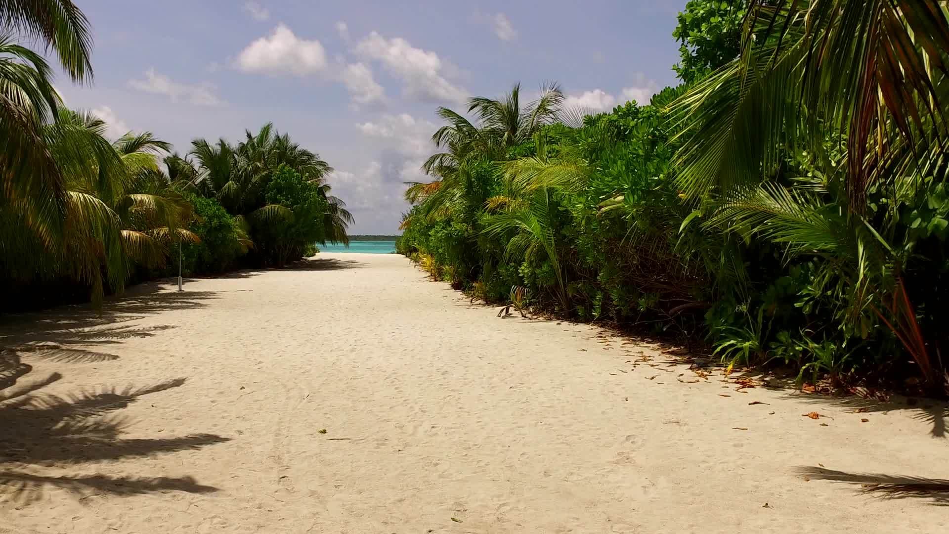 宁静的海滨海滩度假活动蓝色环礁湖和阳光下白色沙滩的背景视频的预览图