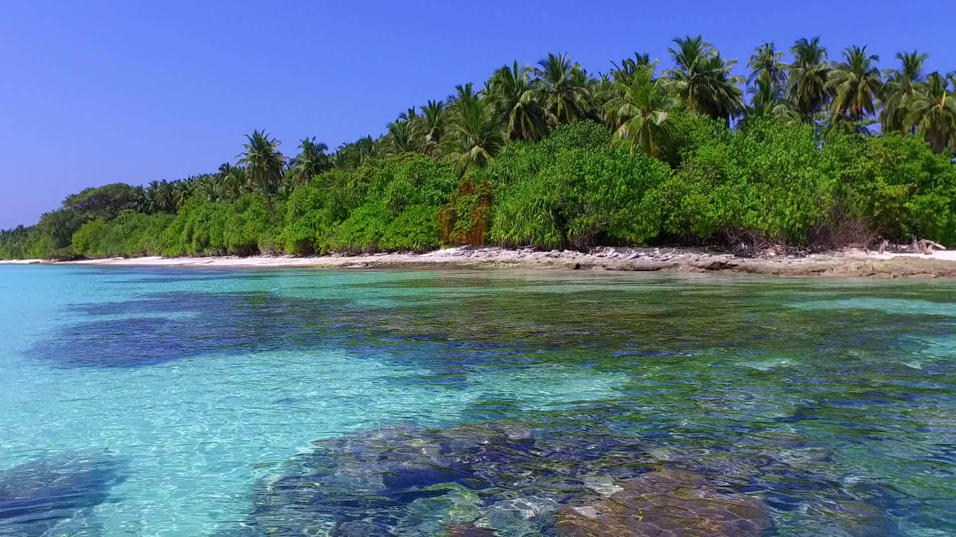 完美的海湾海滩航行在蓝色的海洋和阳光下清洁海滩的背景视频的预览图