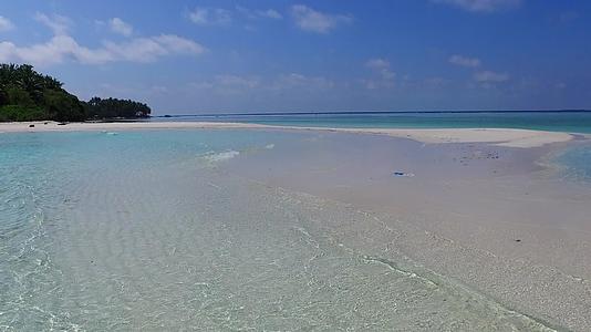 宁静岛海滩野生生物以阳光下的白色沙滩为背景以蓝海为生视频的预览图