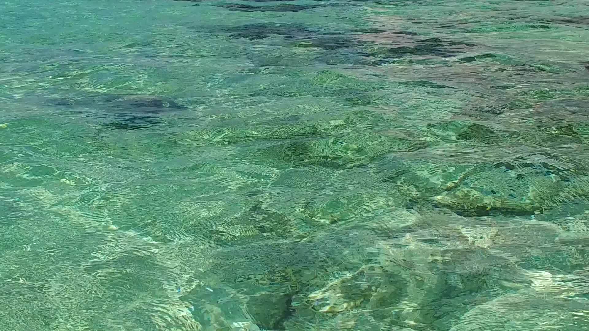 蓝色附近的蓝色绿色水和白色沙滩背景的豪华海滩生活视频的预览图
