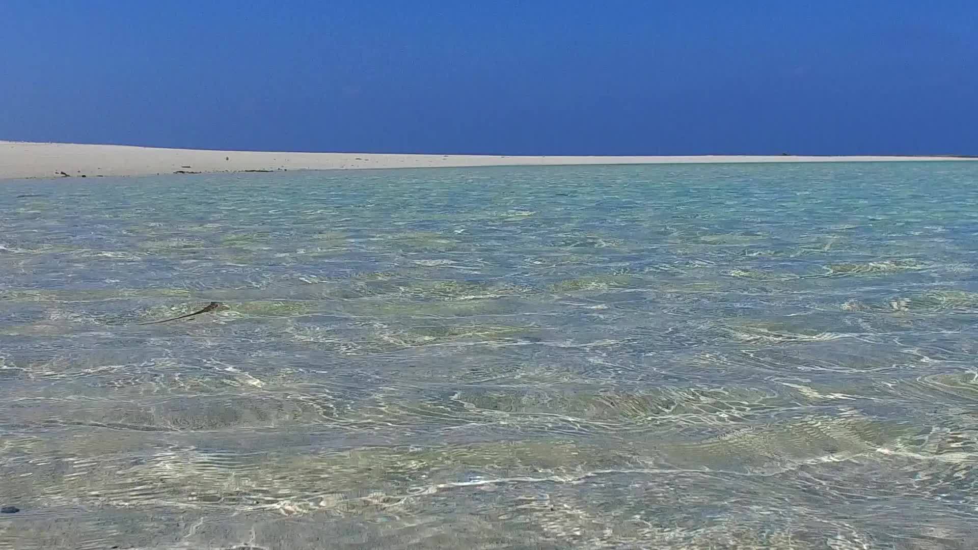 明亮的环礁湖海滩假日阳光由透明的海洋提供视频的预览图