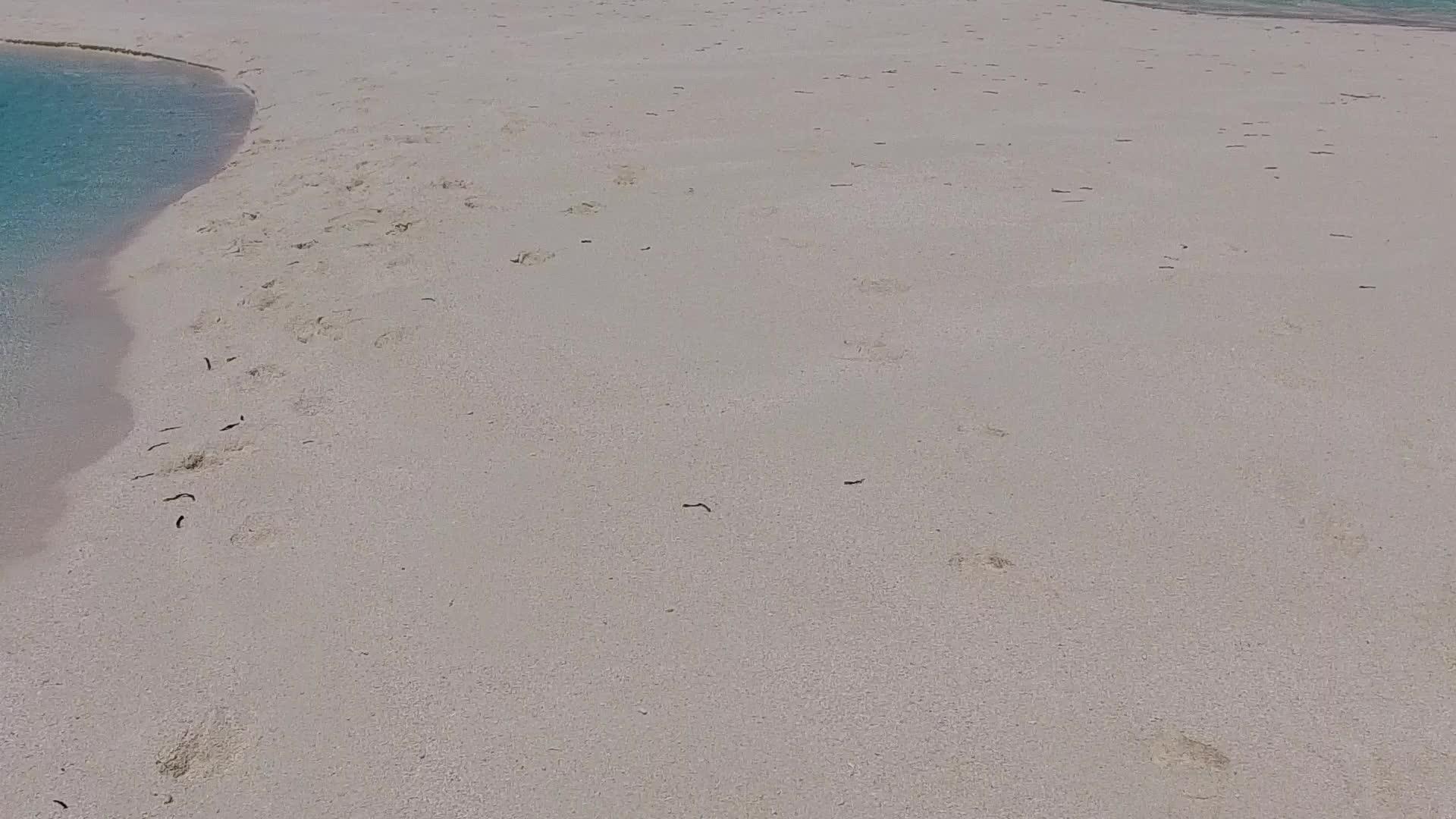 海滩生活方式在蓝色海洋和棕榈树附近以清洁沙滩为背景视频的预览图