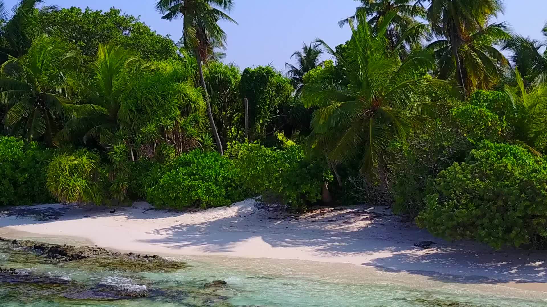 蓝色和棕榈树附近的白色沙滩背景视频的预览图
