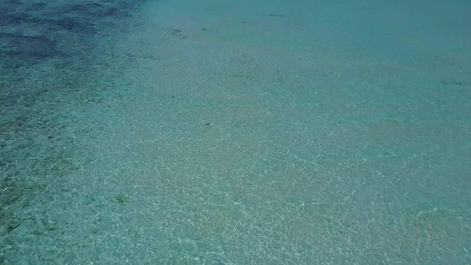 通过透明的环礁湖和棕榈树附近的浅沙背景完美地封闭了海岸海滩视频的预览图