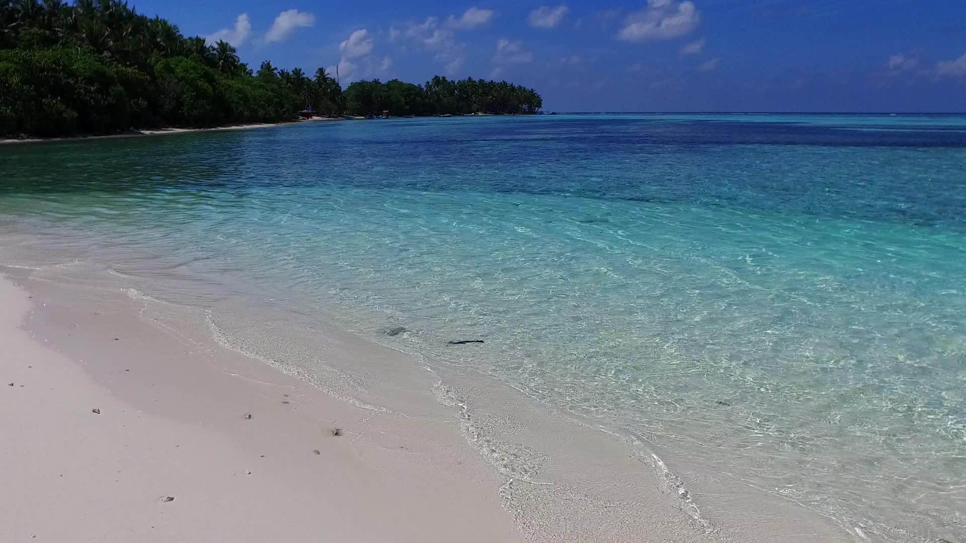 热带度假胜地在夏天自然地用蓝水打破了海滩棕榈树视频的预览图