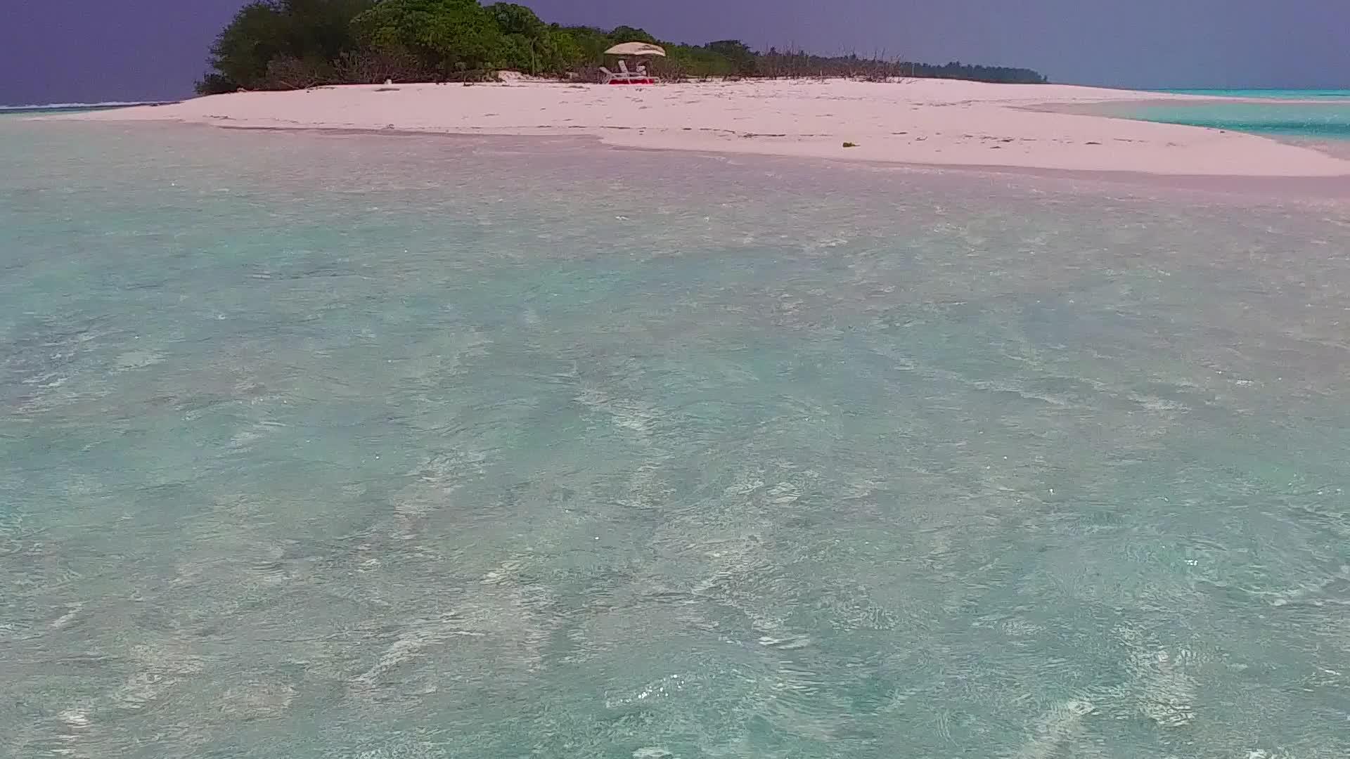天堂湾海滩生活方式蓝色海洋和棕榈树附近的清洁沙滩背景视频的预览图