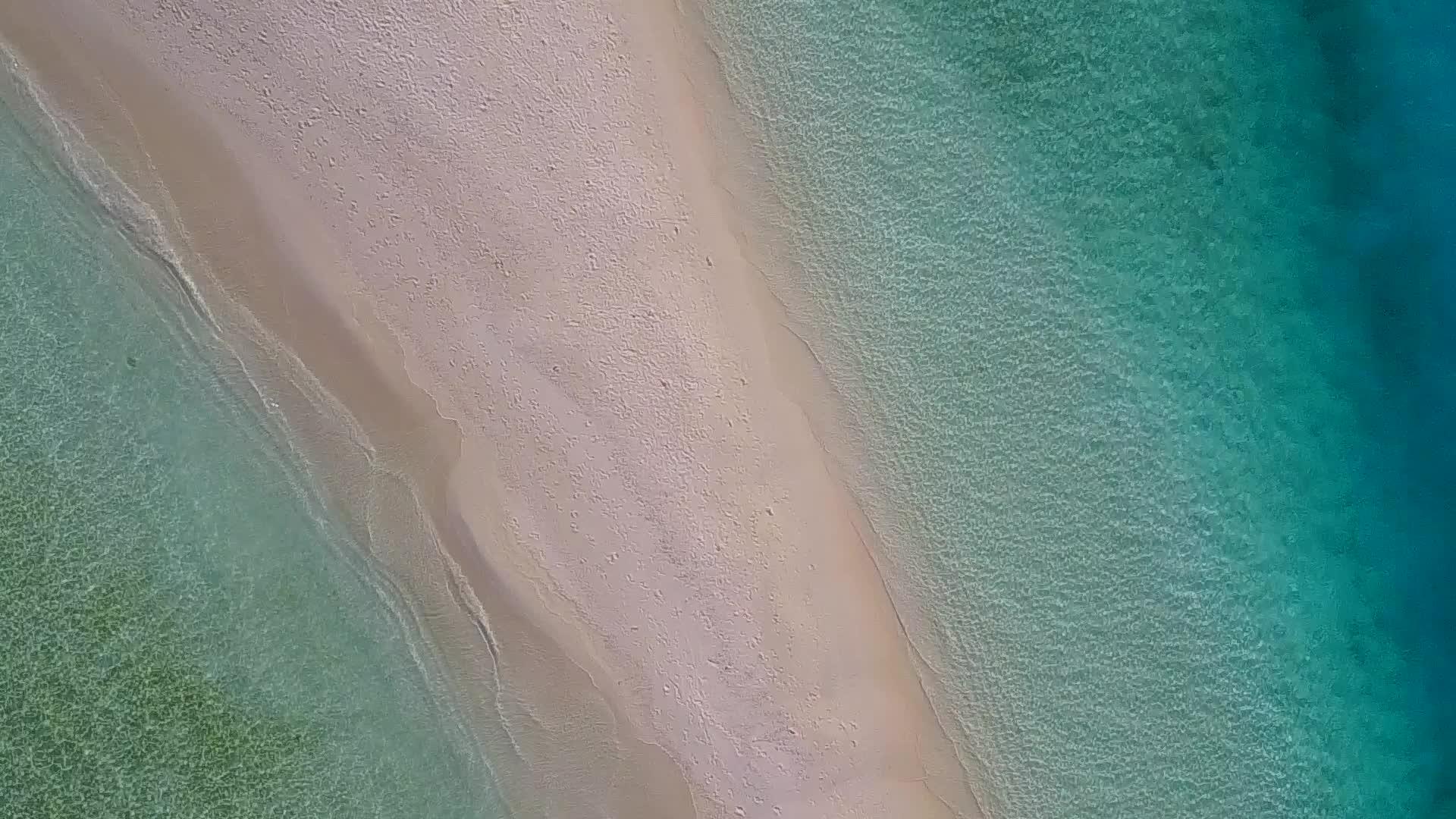 天堂海滩野生生物以白色沙子为背景在阳光下以浅水为生视频的预览图