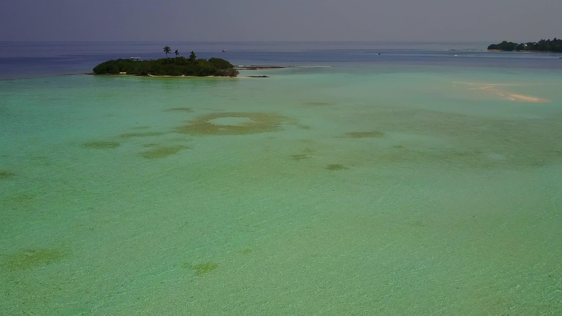棕榈树附近有蓝色的海洋热带旅游海滩有白色的沙滩背景阳光明媚视频的预览图