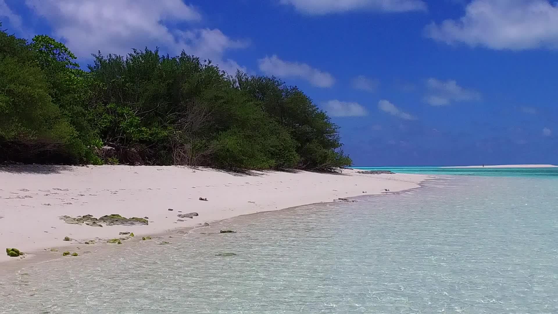 以棕榈树附近白沙背景的蓝水为例视频的预览图