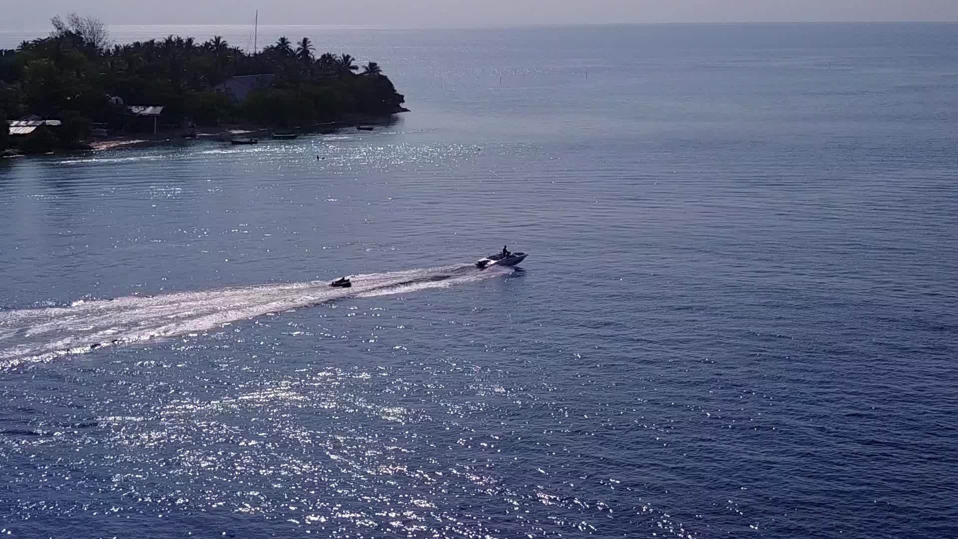 以浅海为生的野生动物在阳光下有白沙背景视频的预览图