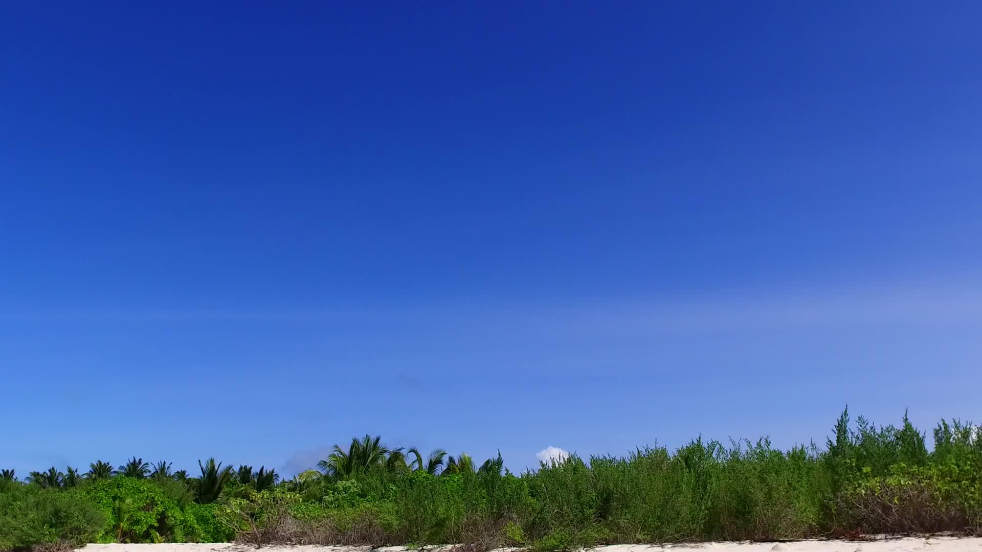 阳光明媚的海滨海滩探险纹理由蓝海和近冲浪的白色组成视频的预览图