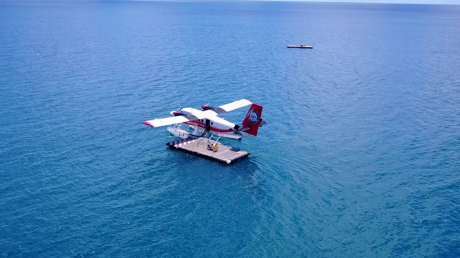 海滨海滩生活以棕榈树附近的蓝色环礁湖为背景蓝色环礁湖视频的预览图