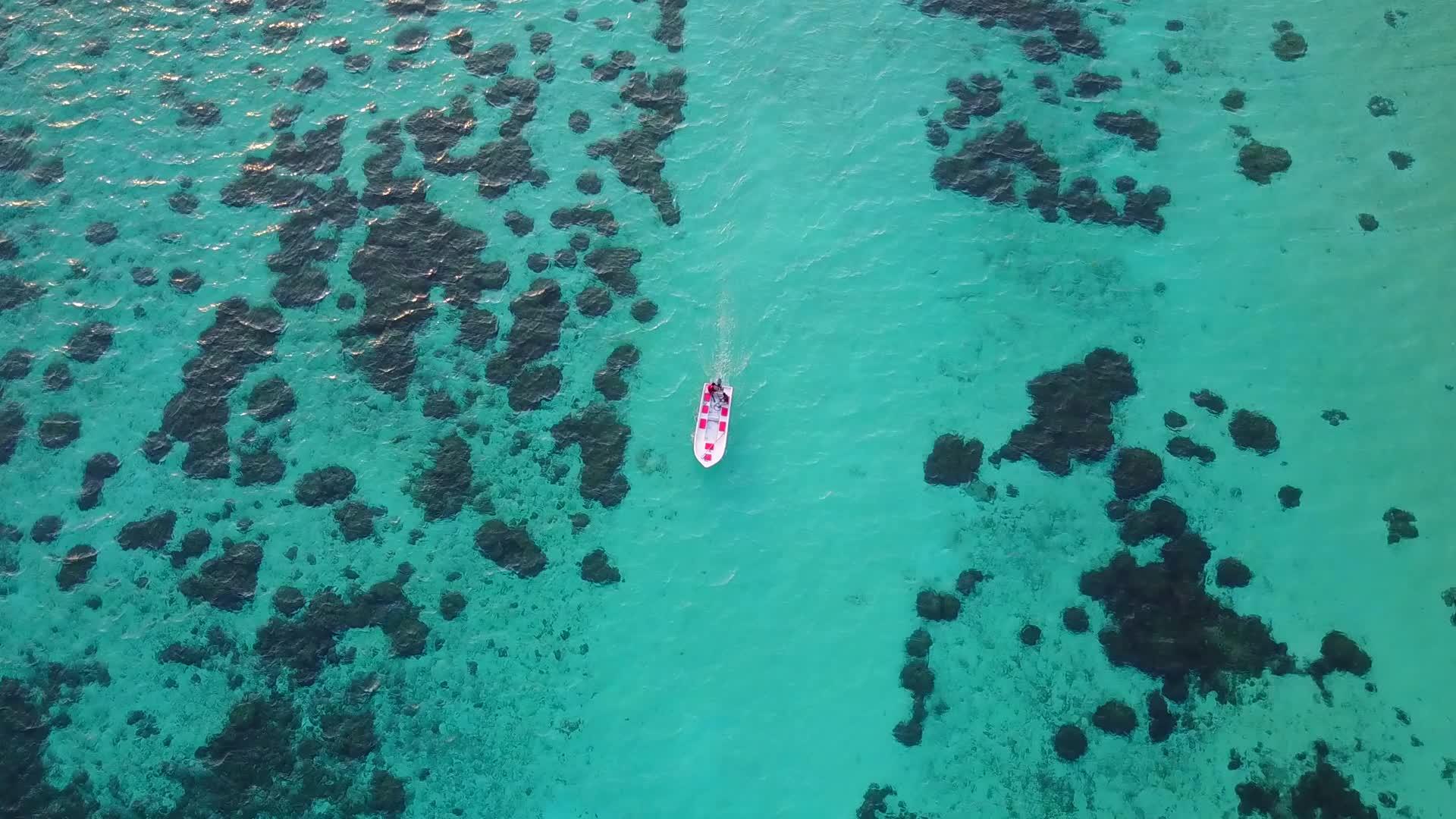 阳光明媚的美丽岛屿海滩度假胜地由绿海和阳光下的白色组成视频的预览图