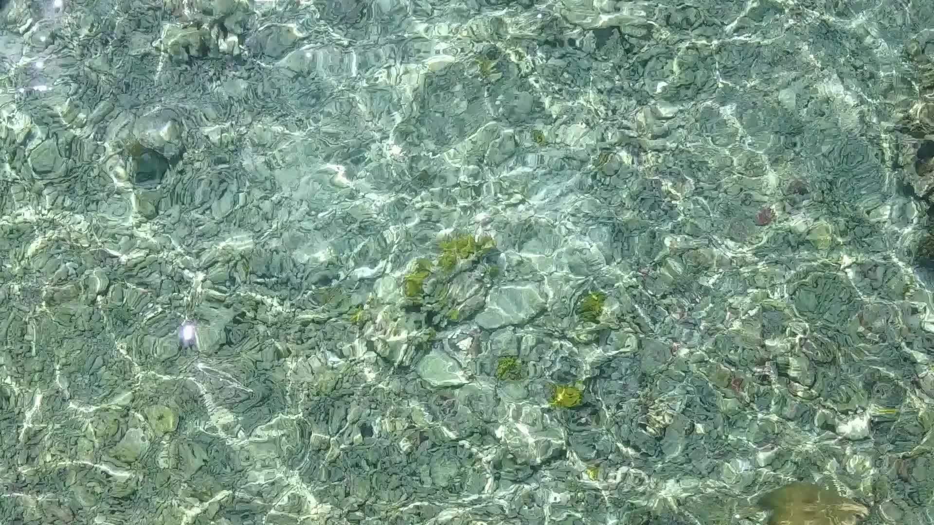 在旅游胜地附近海面清澈背景为浅沙的奇异岛屿海滩风景温暖视频的预览图