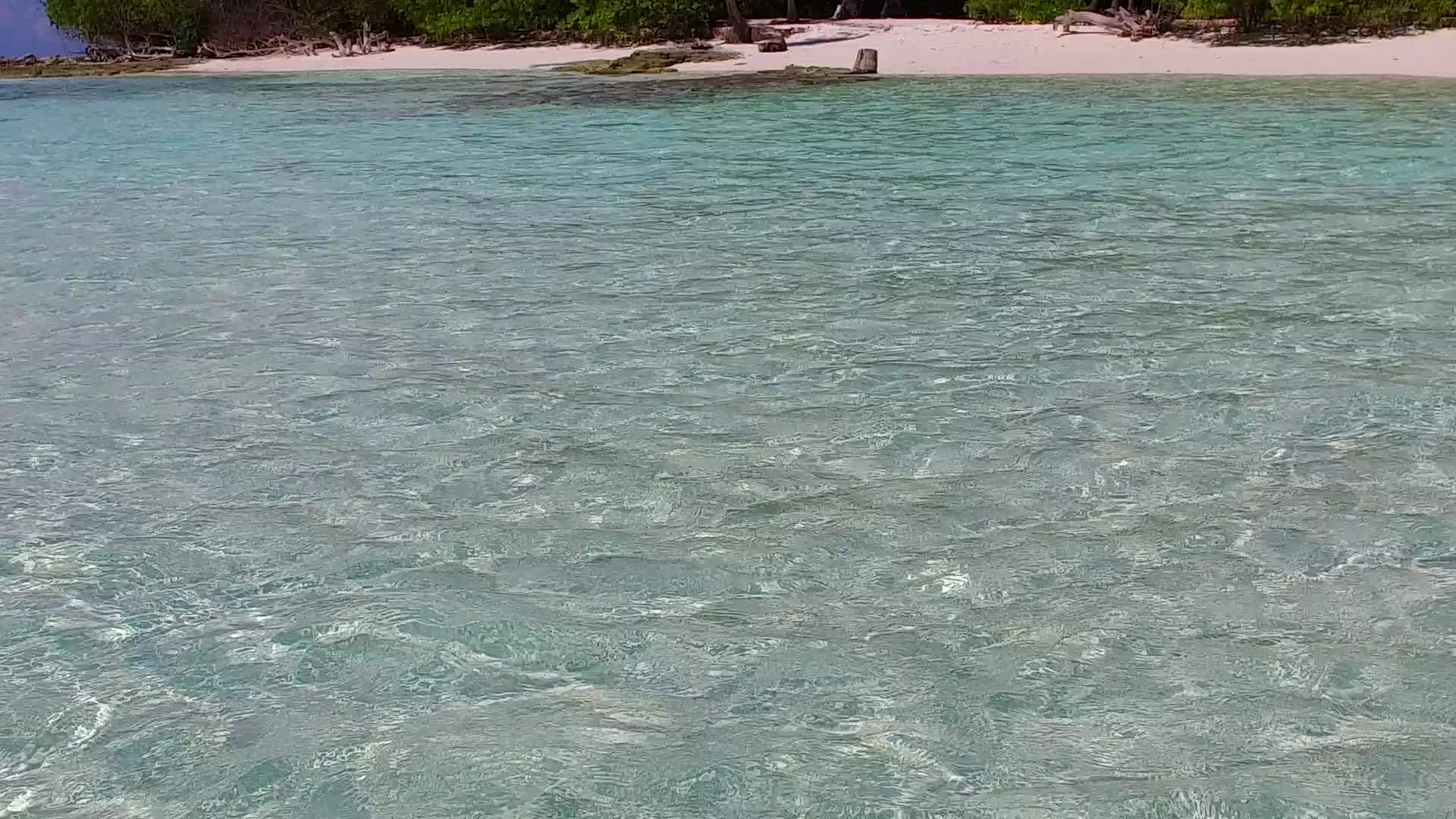 海滨海滩从清海出发在珊瑚礁附近有一个干净的沙土背景视频的预览图