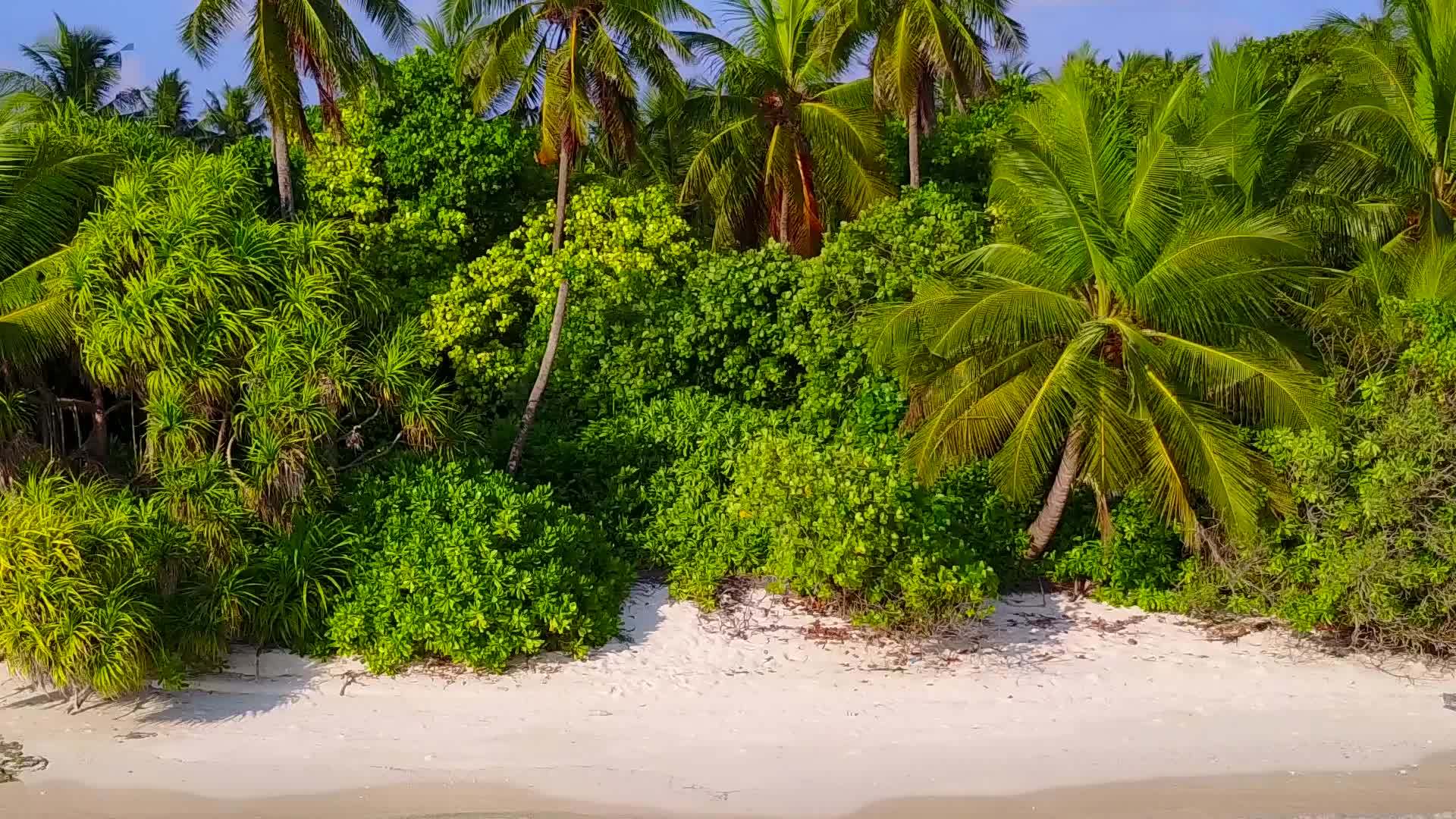 浅海靠近冲浪白色沙底背景靠近完美的海岸海滩假日视频的预览图