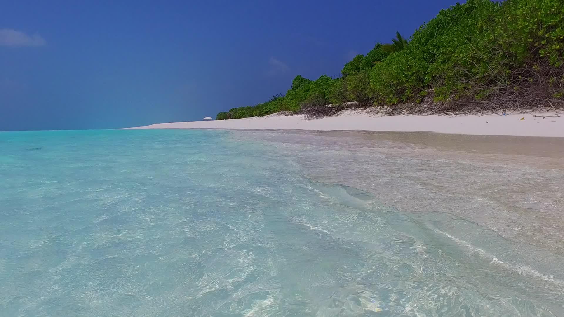 海滨海滩假日夏季天堂度假蓝海和棕榈树附近的沙沙背景视频的预览图