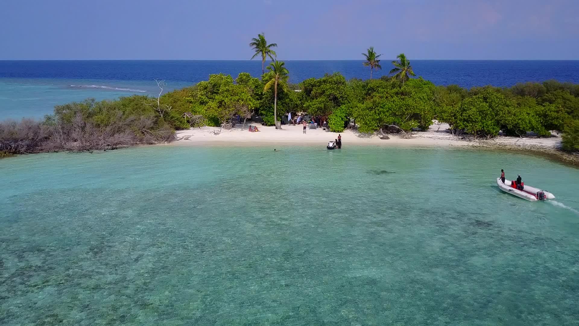 在清海和棕榈树附近的白沙背景下海洋海岸海滩时空抽象视频的预览图