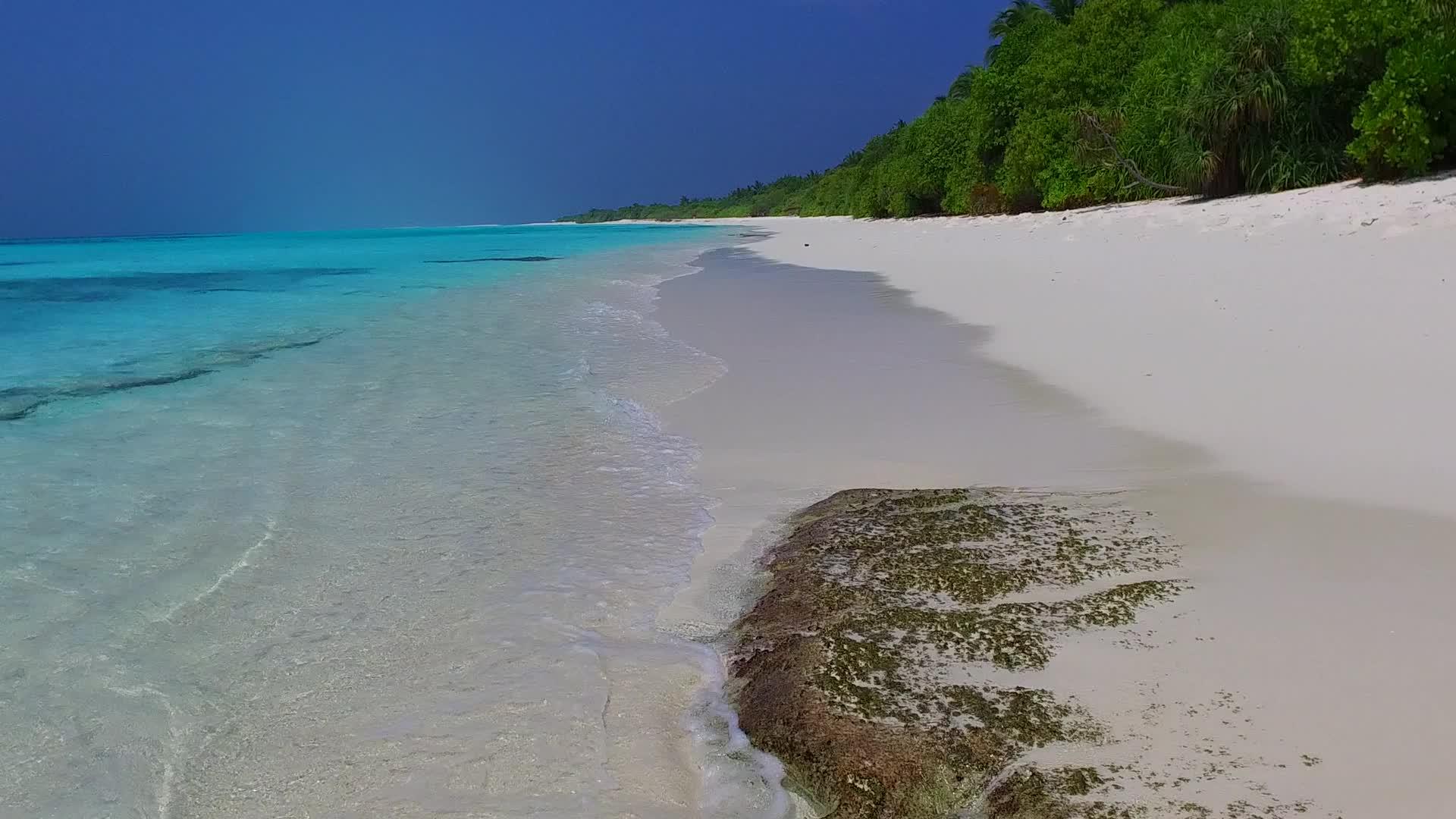 蓝怪的旅游海滩度假场景在蓝海和海滩附近的白沙背景下视频的预览图
