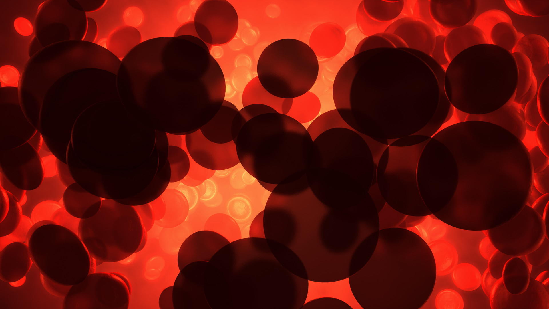 3d红血细胞医学视频的预览图