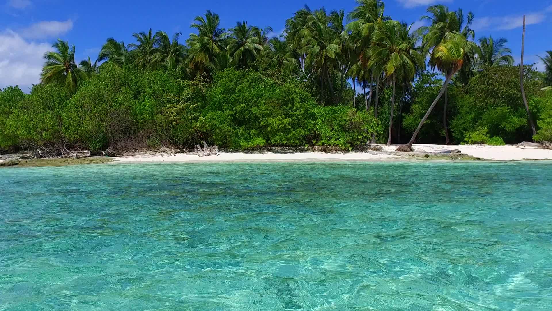 沙洲附近的蓝色泻湖热带海滩日间旅行视频的预览图