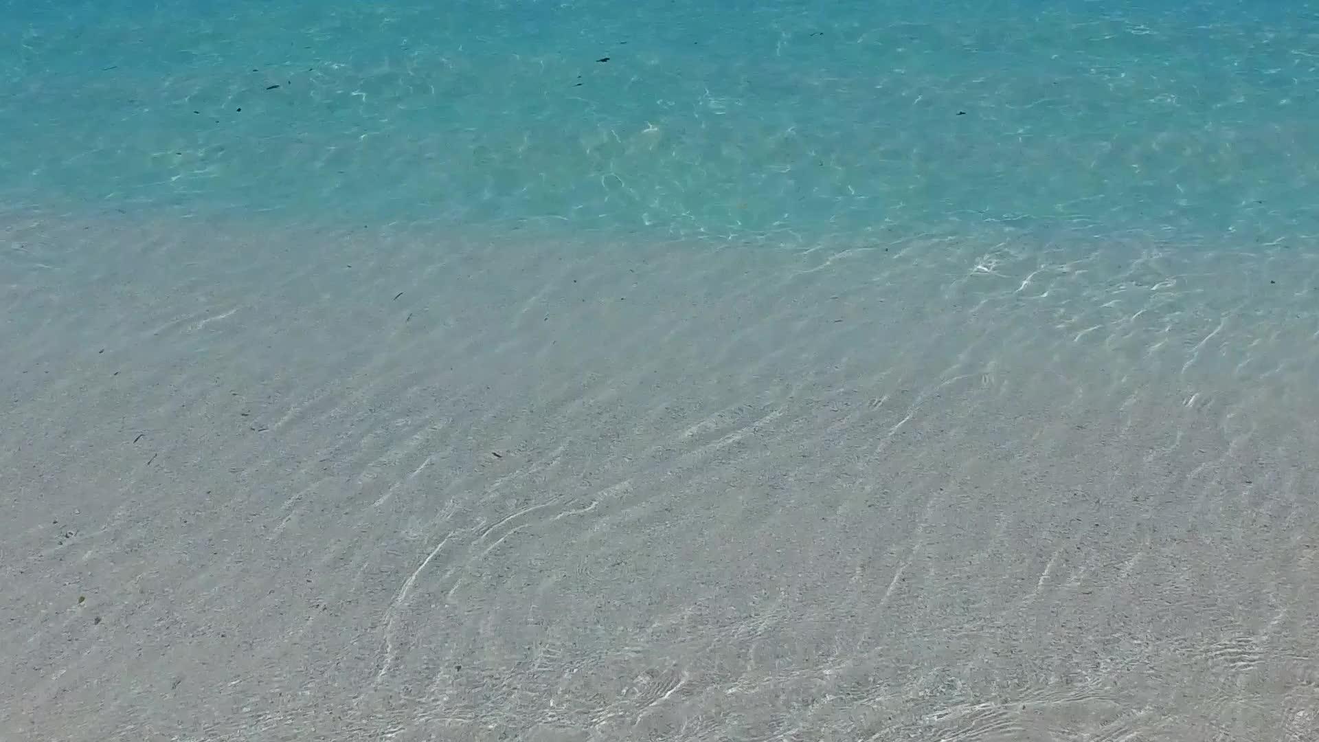 美丽的旅游海滩之旅在白天有透明的大海和棕榈树视频的预览图