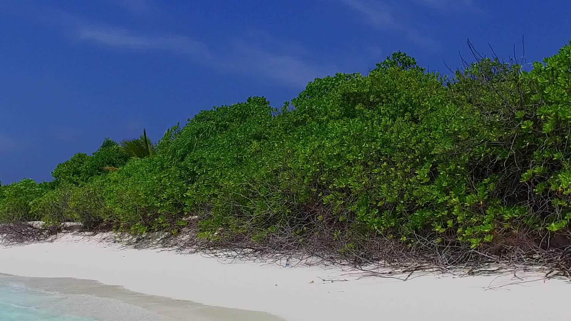 在蓝海和棕榈树附近的白沙本背景下打破了宁静的海滩海岸线浪漫主义者视频的预览图