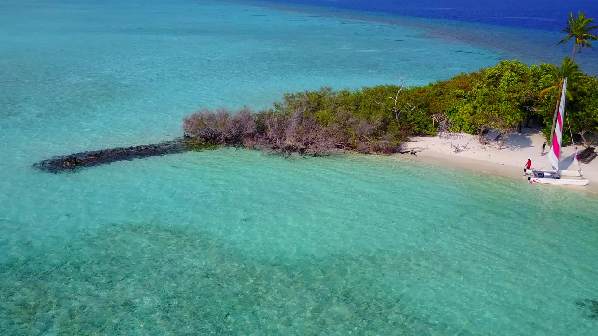 度假村附近有一个干净的海滩背景浅海完美的海滩生活方式视频的预览图