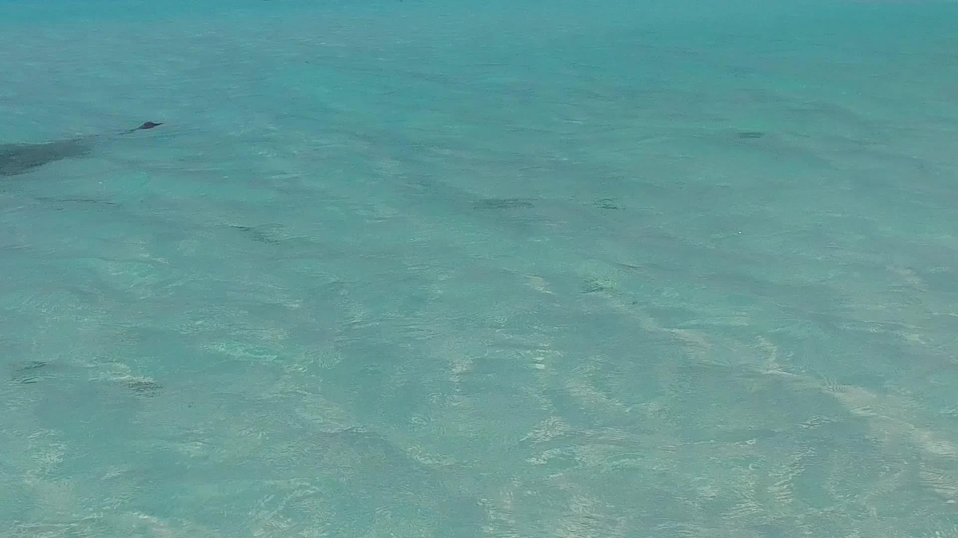 阳光明媚的旅游蓝色环礁湖让海岸海滩在海浪附近放松视频的预览图
