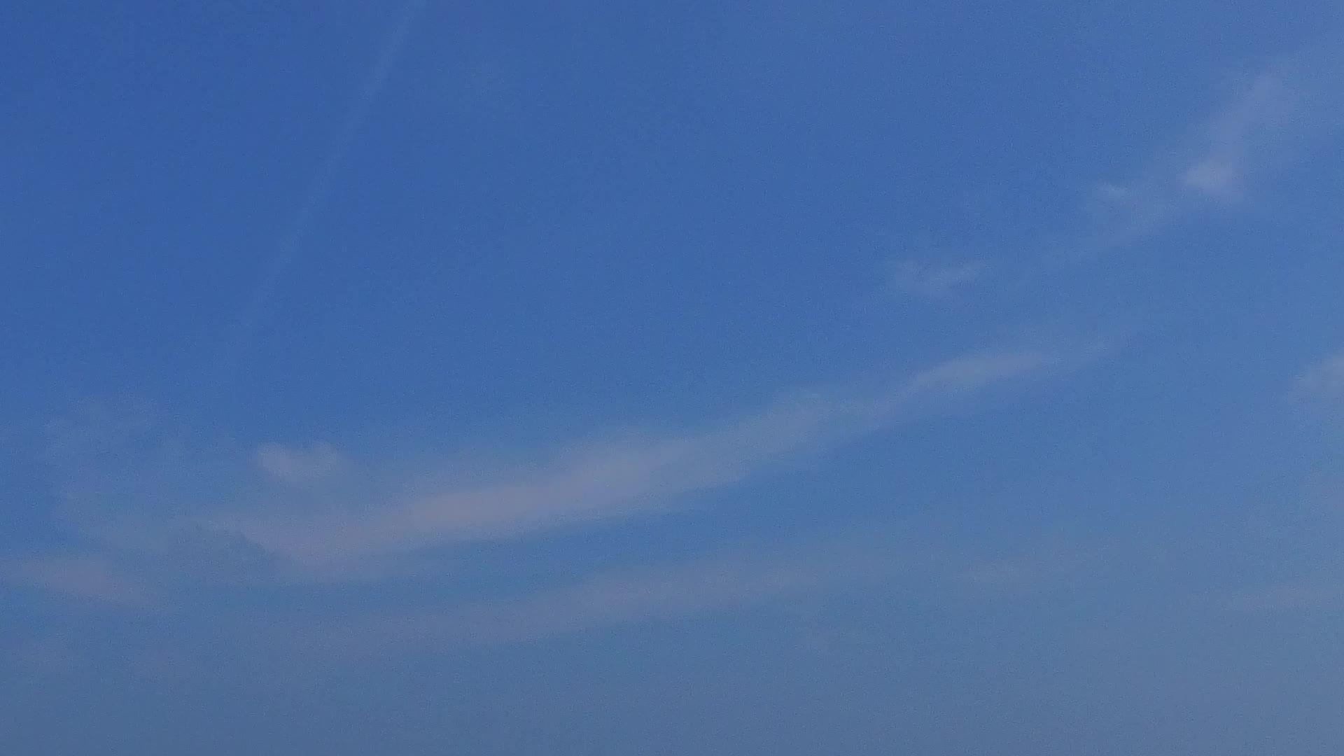美丽的度假胜地海滩蓝色的水和棕榈树附近的白沙视频的预览图