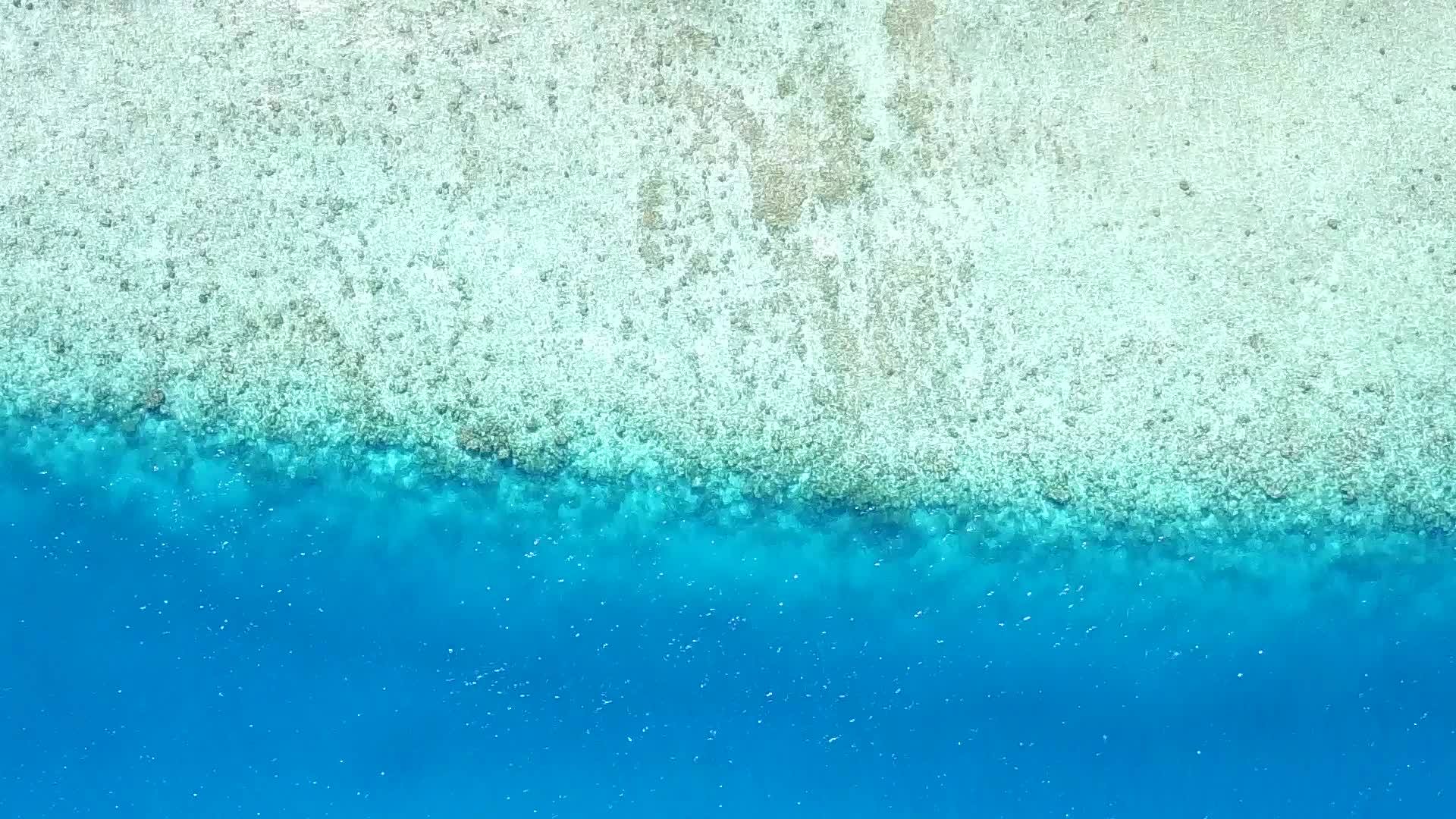 沉积在蓝色环礁湖和白色沙底背景附近的度假胜地视频的预览图