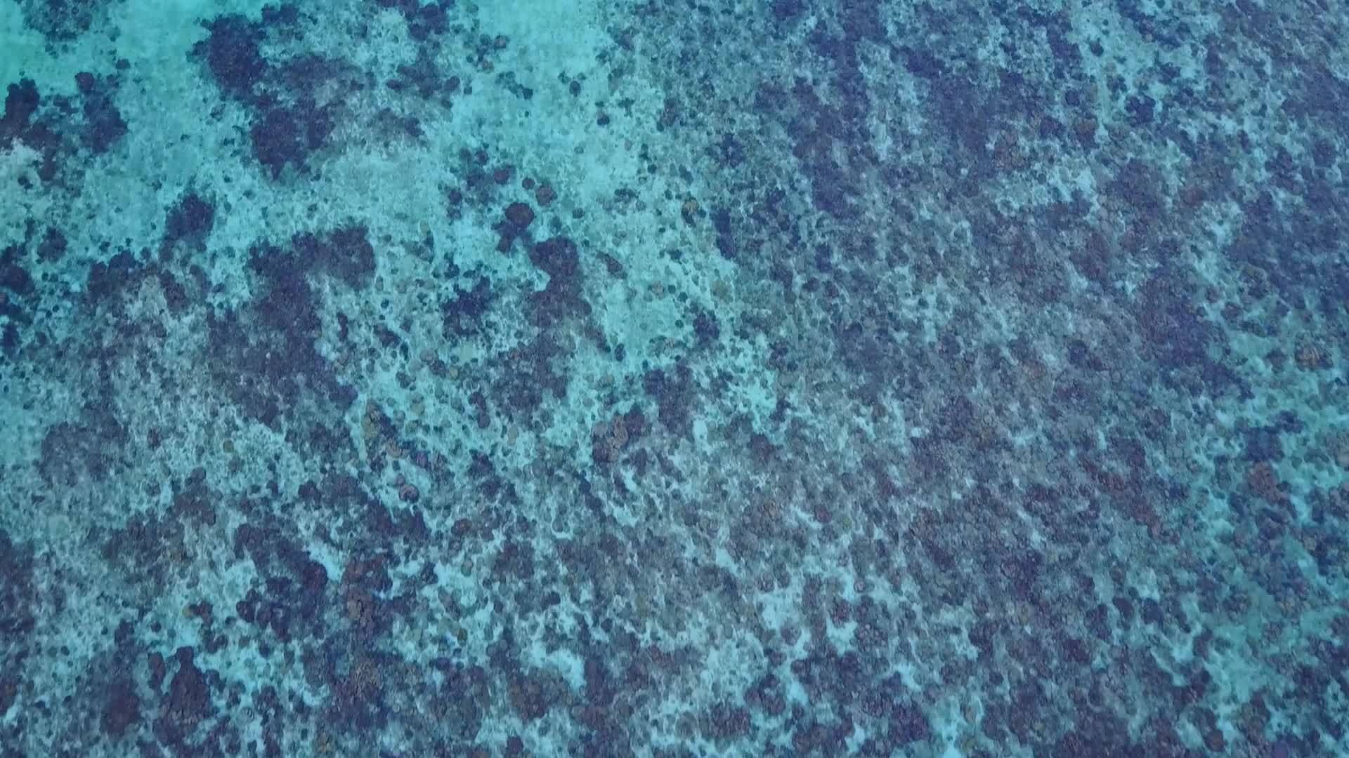 蓝色的绿色水和白色的沙背景靠近蓝色的绿色水和凉爽的环礁湖海滩视频的预览图