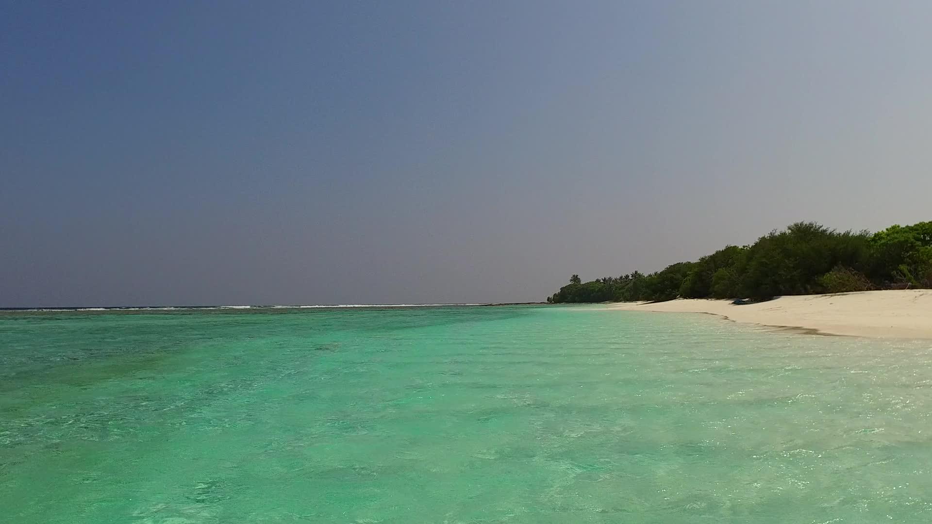沿海海滩野生生物的浪漫主义依托浅水和阳光下的白沙背景视频的预览图