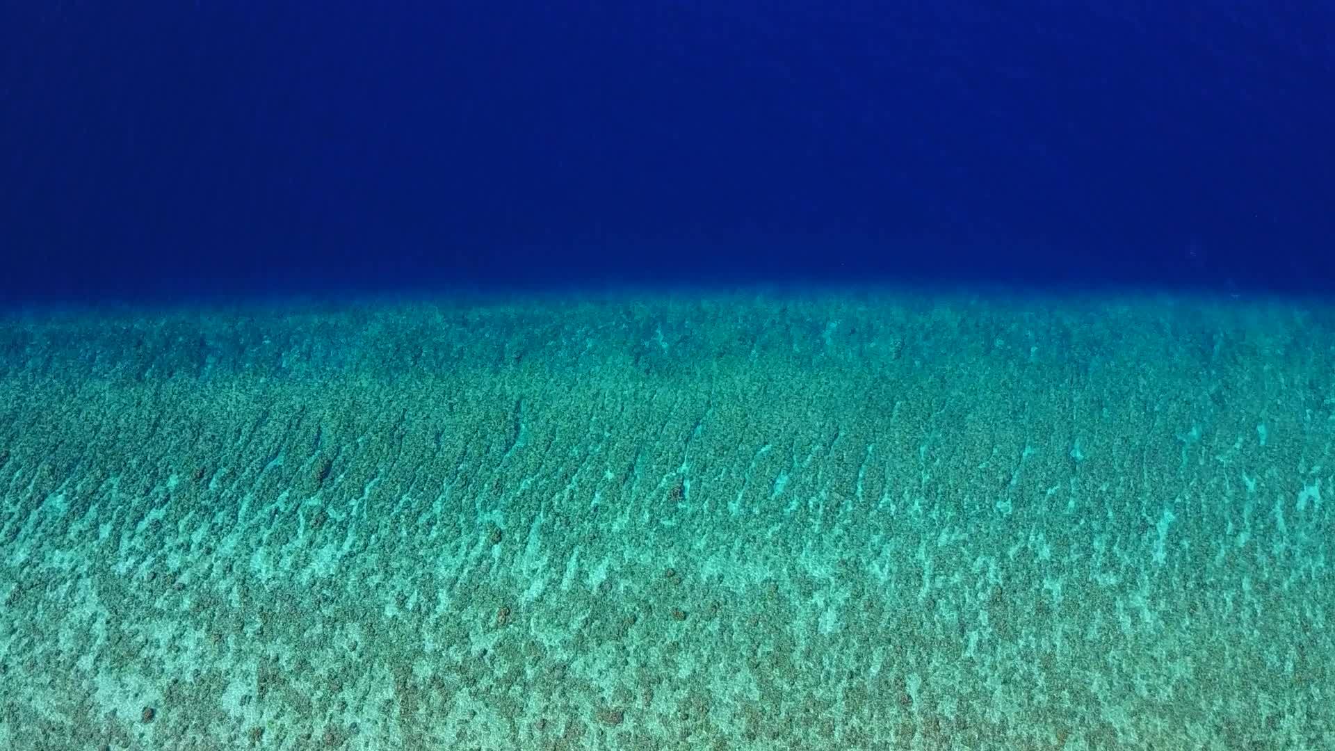 沙洲附近的白背景的蓝绿色海洋异国情调海景海滩之旅视频的预览图