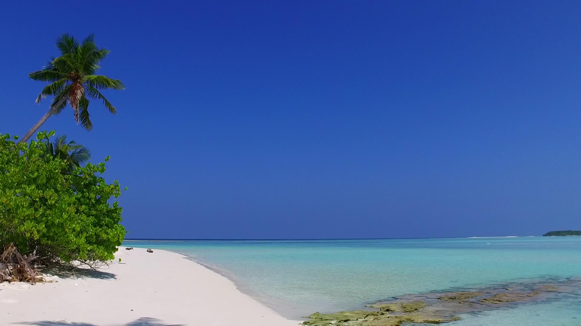 海滨之旅由松黄海和海滩附近的白沙土组成视频的预览图