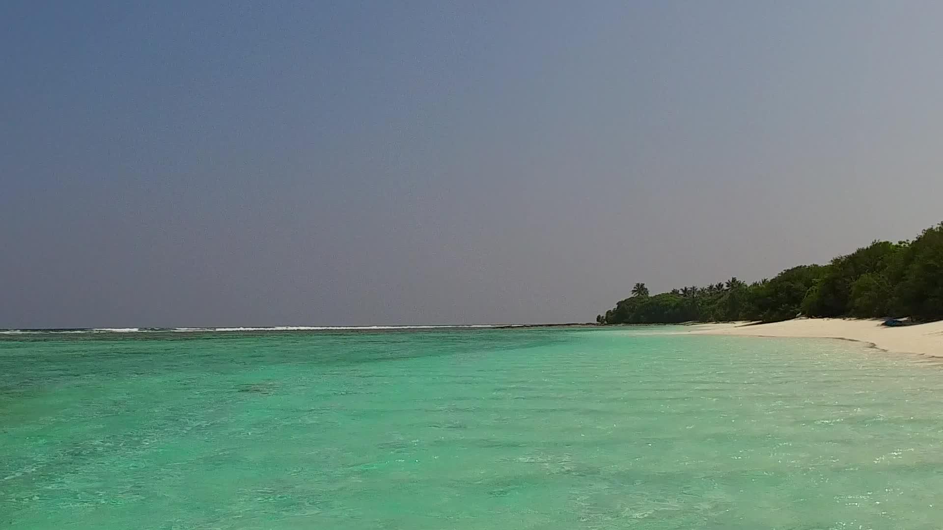 蓝绿色海洋中完美的海滩野生动物阳光风光海浪附近有白沙视频的预览图