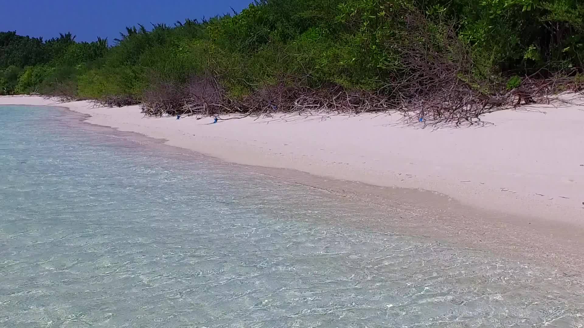 度假村附近有干净的沙土背景的天堂岛海滩时间的浪漫视频的预览图