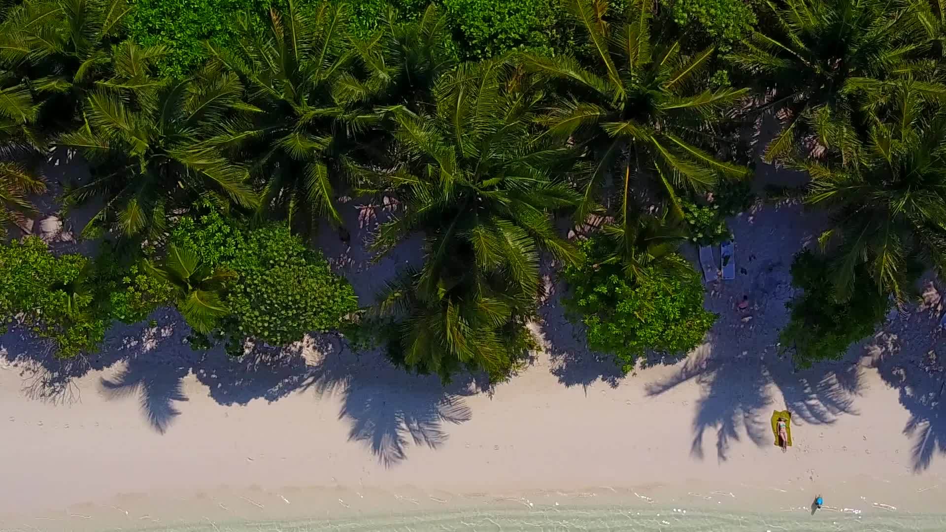 蓝色环礁湖和棕榈树附近的浅沙是沿海海岸航行的海洋视频的预览图