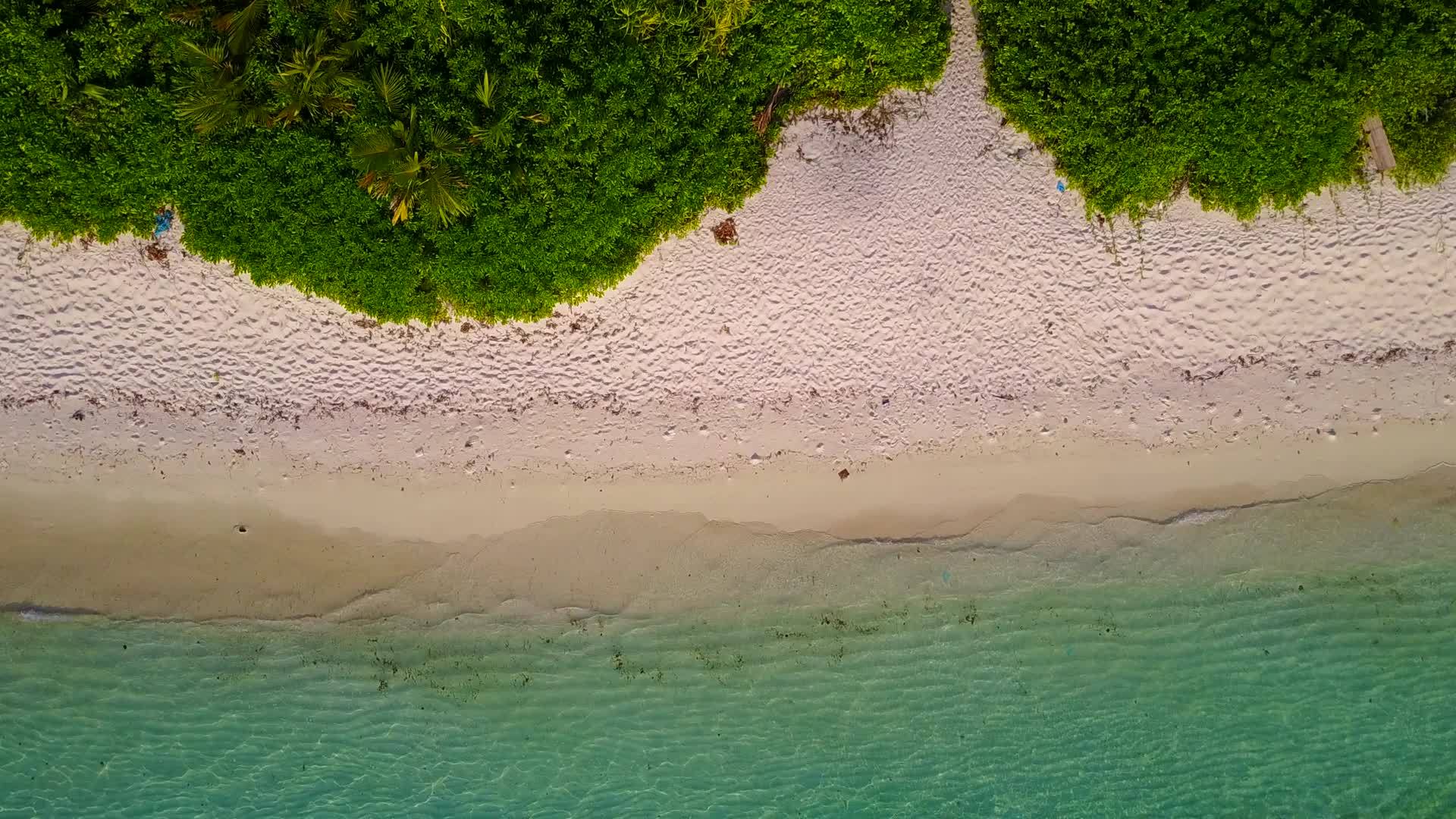 棕榈树附近的白色海滩背景浅海海洋泻湖海滩温暖的海景视频的预览图