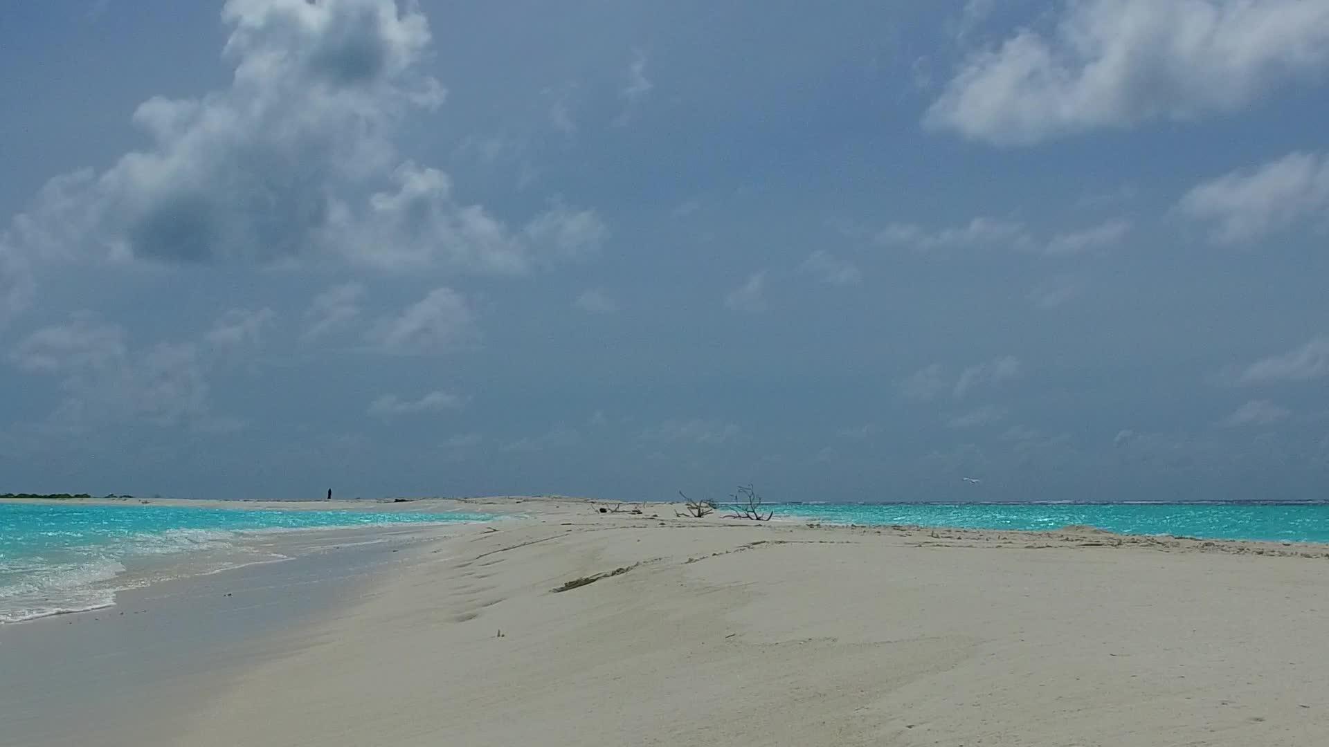 以棕榈树附近透明的水和白沙为背景在海滩上冒险视频的预览图