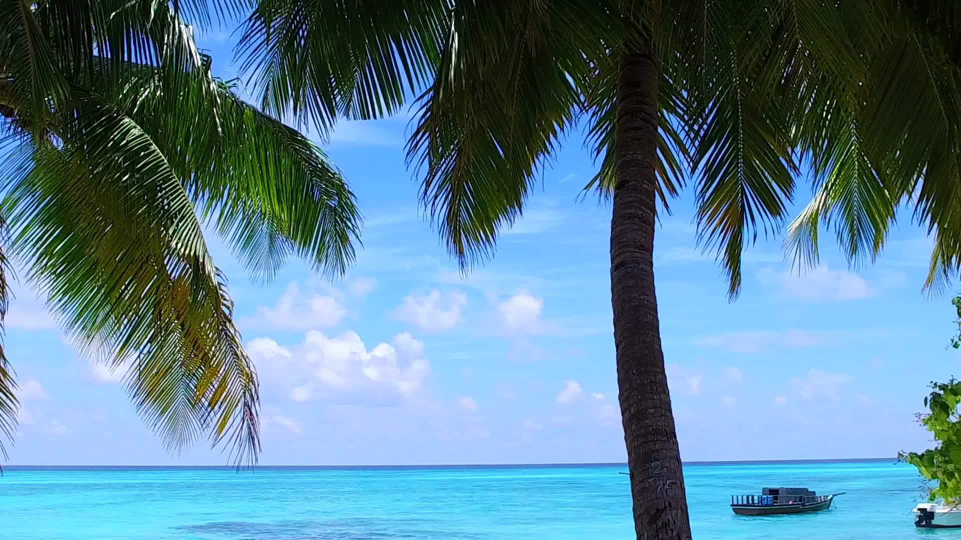 在蓝色海洋和棕榈树附近的白色海滩的背景下完美的泻湖海滩时间视频的预览图