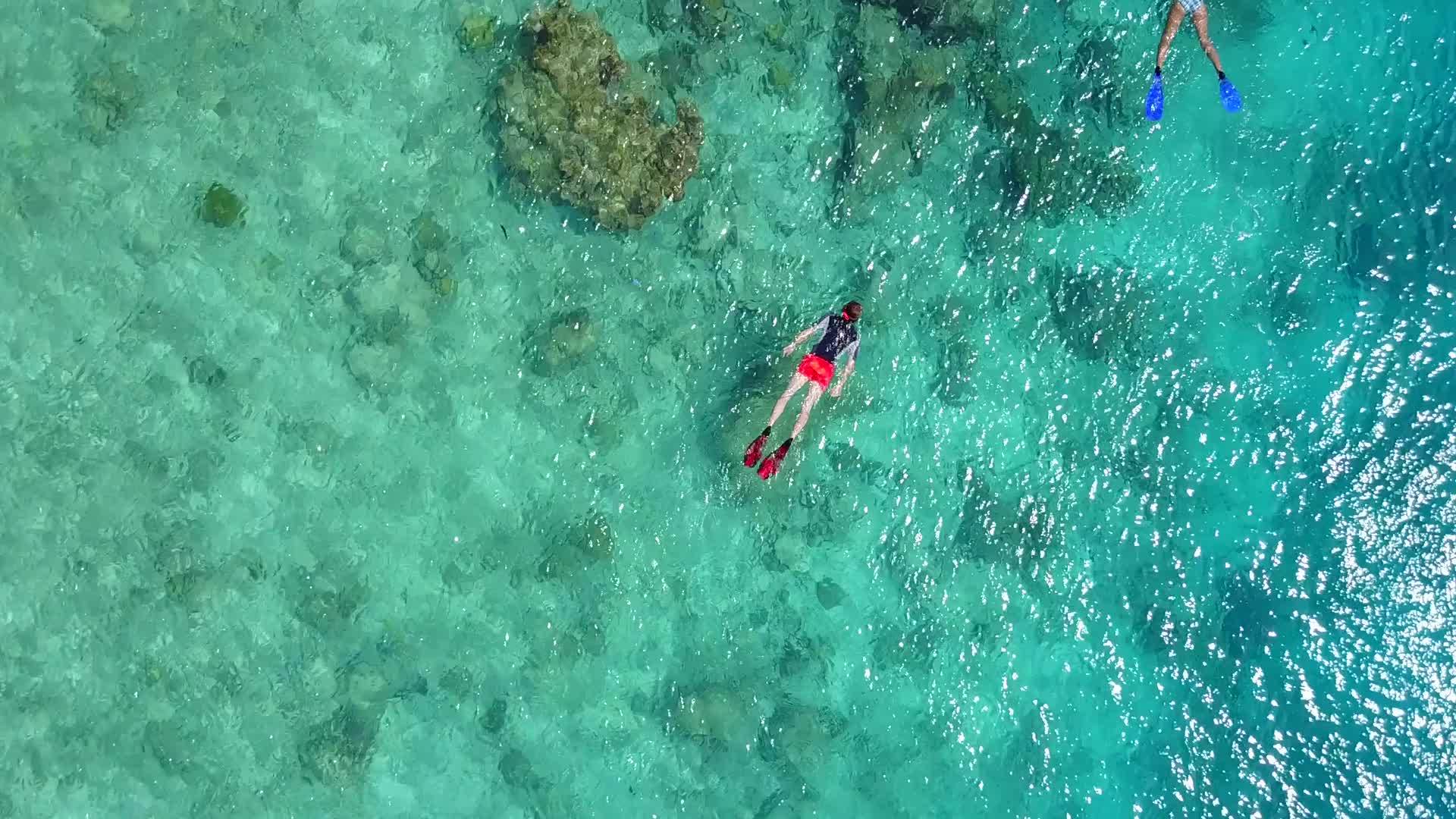 海滩附近蓝绿环礁和白沙背景的海景阳光明媚海岸奇特视频的预览图