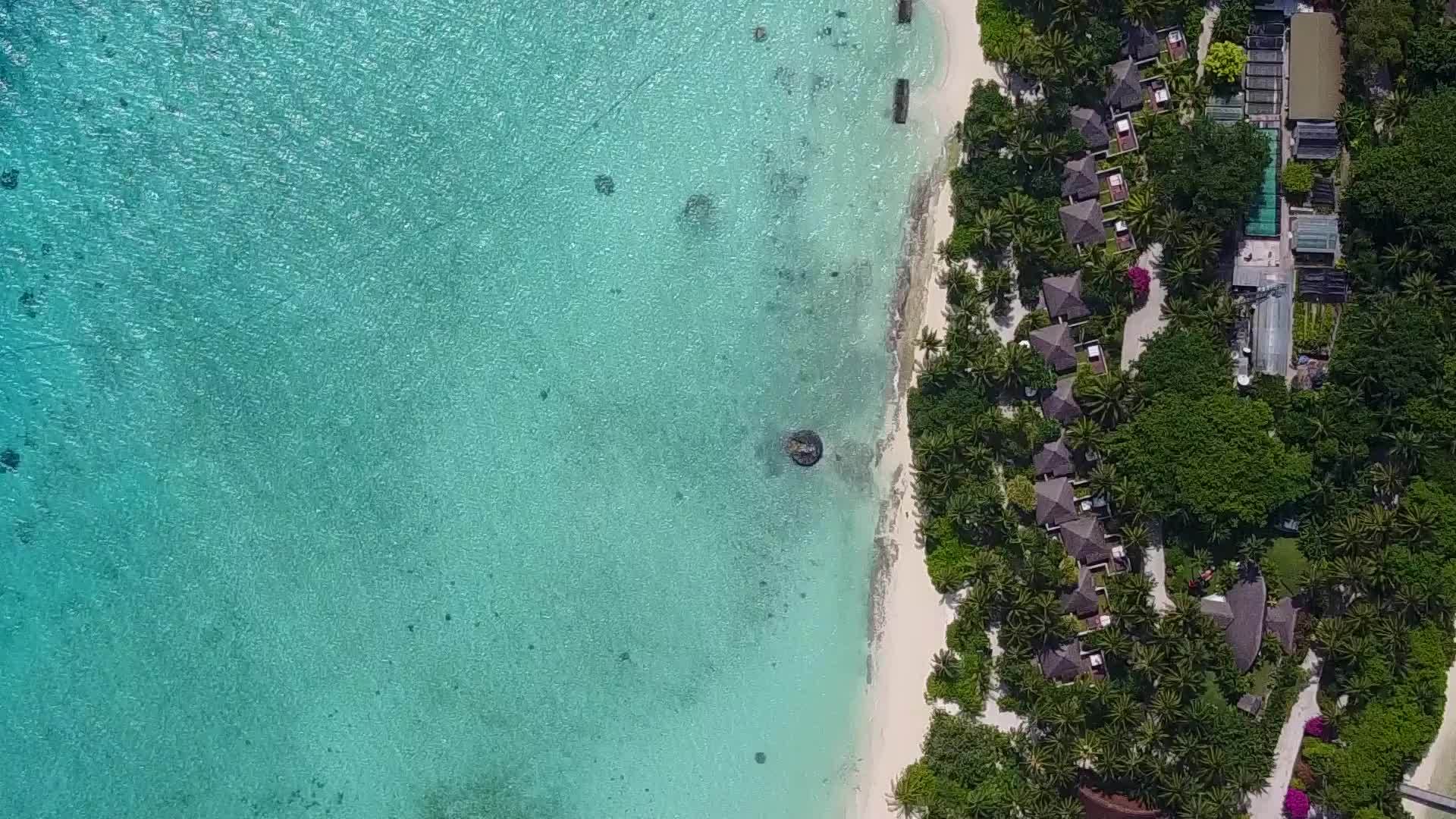 日出后以白沙为背景的蓝色海洋经过蓝色海洋视频的预览图