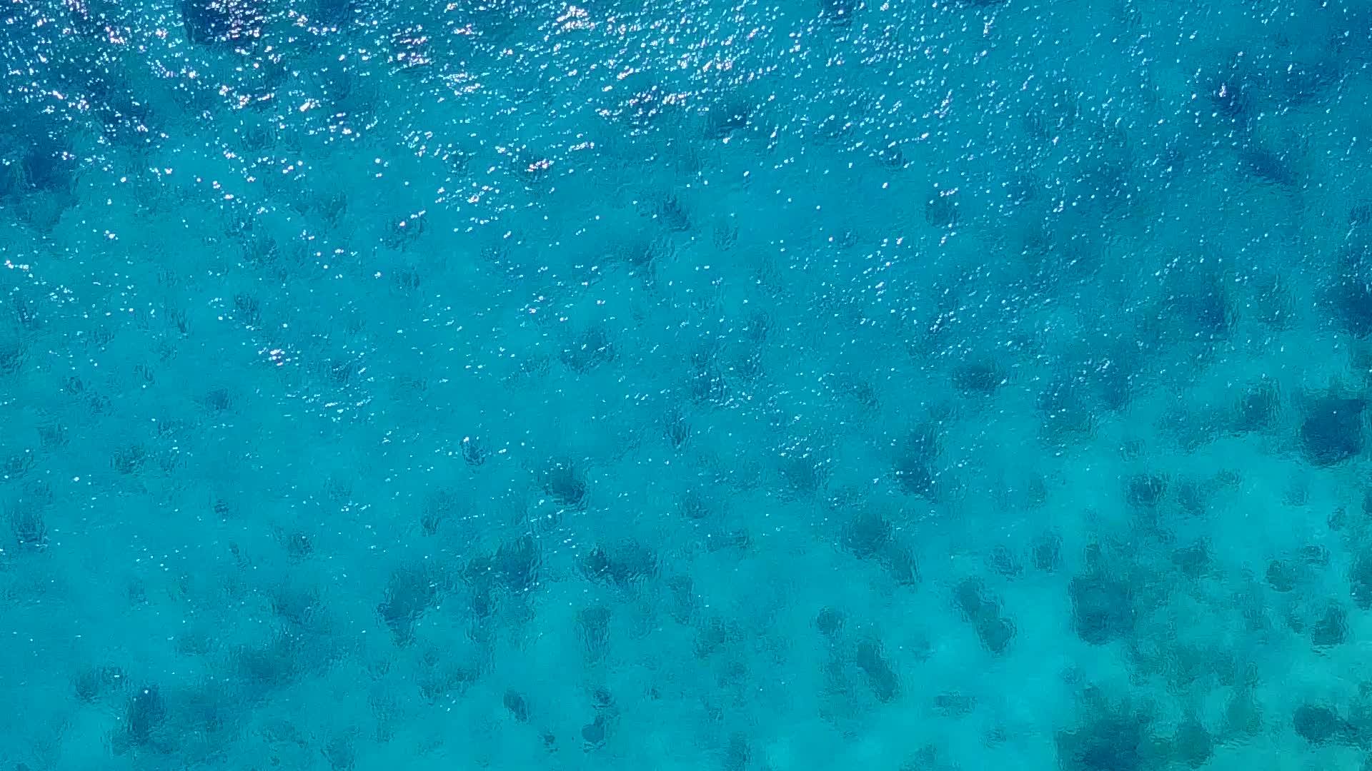 蓝色的水以蓝色的水和棕榈树附近的白色沙滩为背景视频的预览图