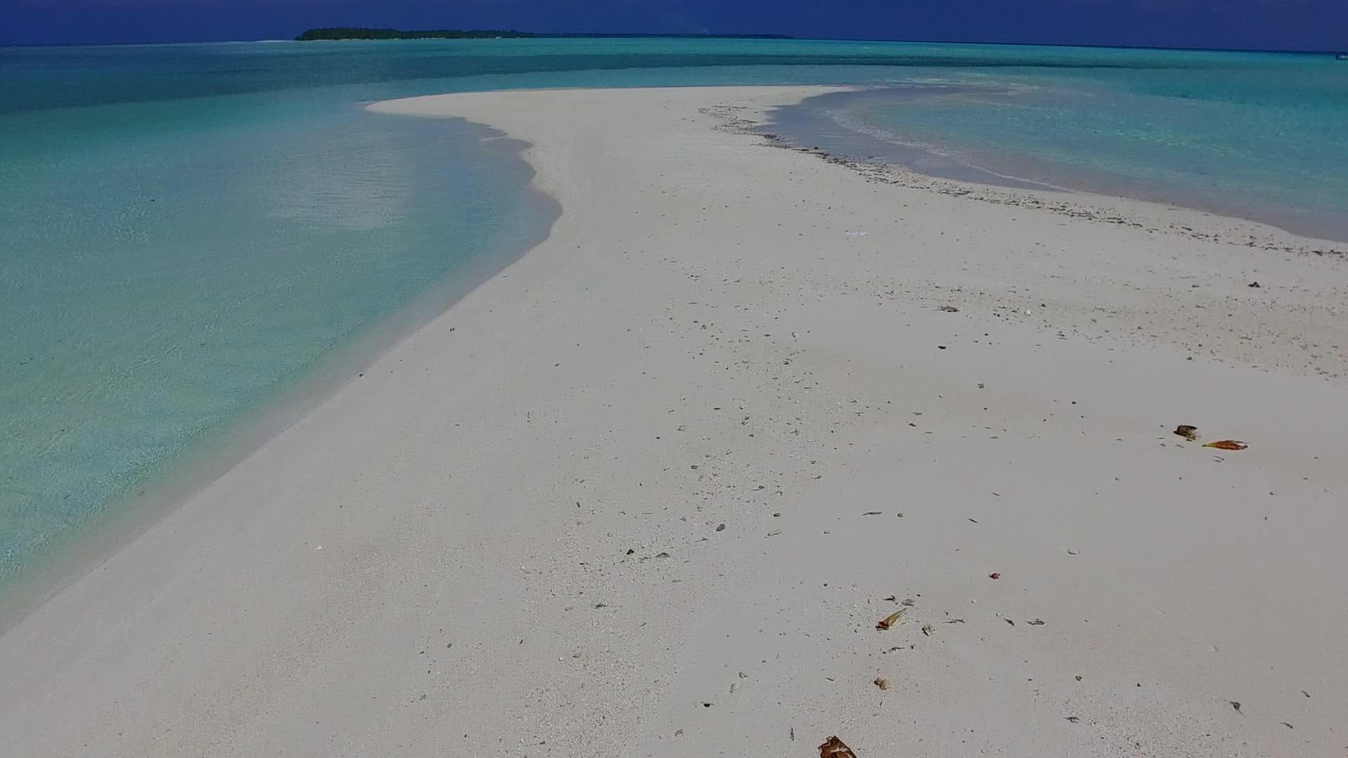 浅海和白沙底浅海附近的棕榈树视频的预览图